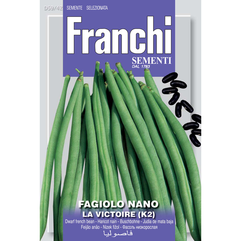 Dwarf French Bean La Victoire